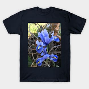 Mini Blue Iris T-Shirt